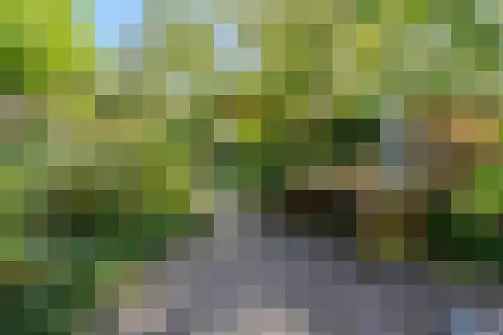 Haagweg 271 Breda thumbnail 26