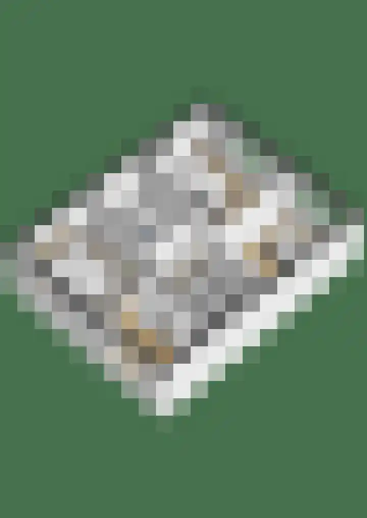Haagweg 271 Breda thumbnail 37