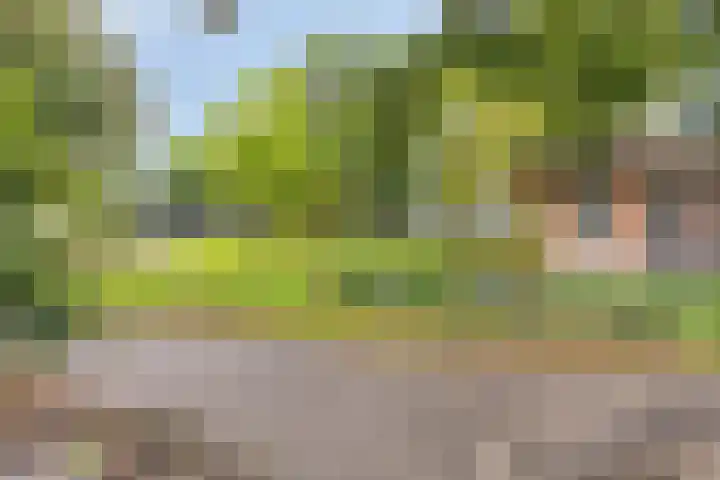Haagweg 30 Rijswijk thumbnail 30