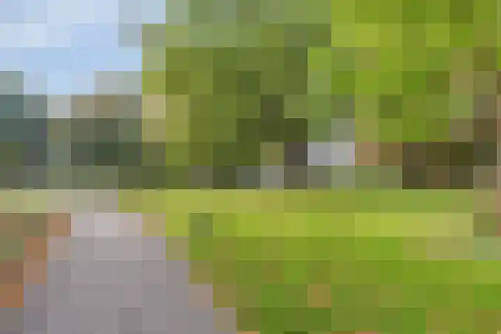 Haagweg 30 Rijswijk thumbnail 31