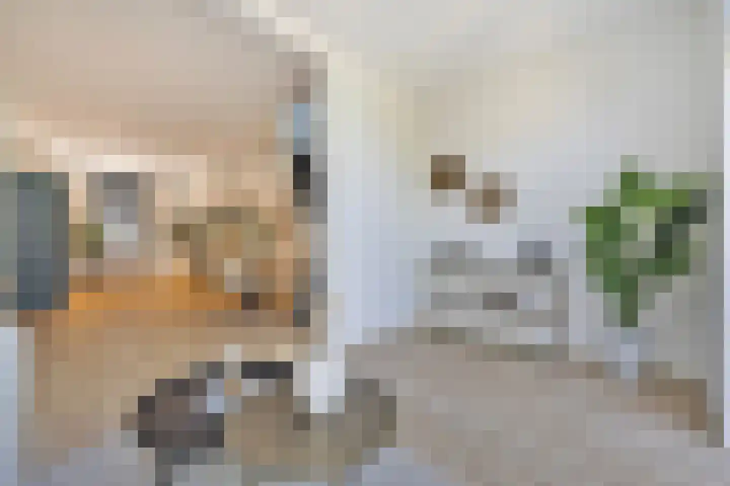 Haagweg 312 Breda thumbnail 16