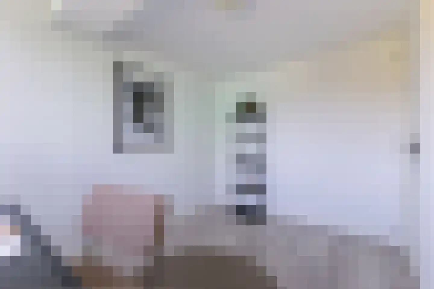 Haagweg 312 Breda thumbnail 31