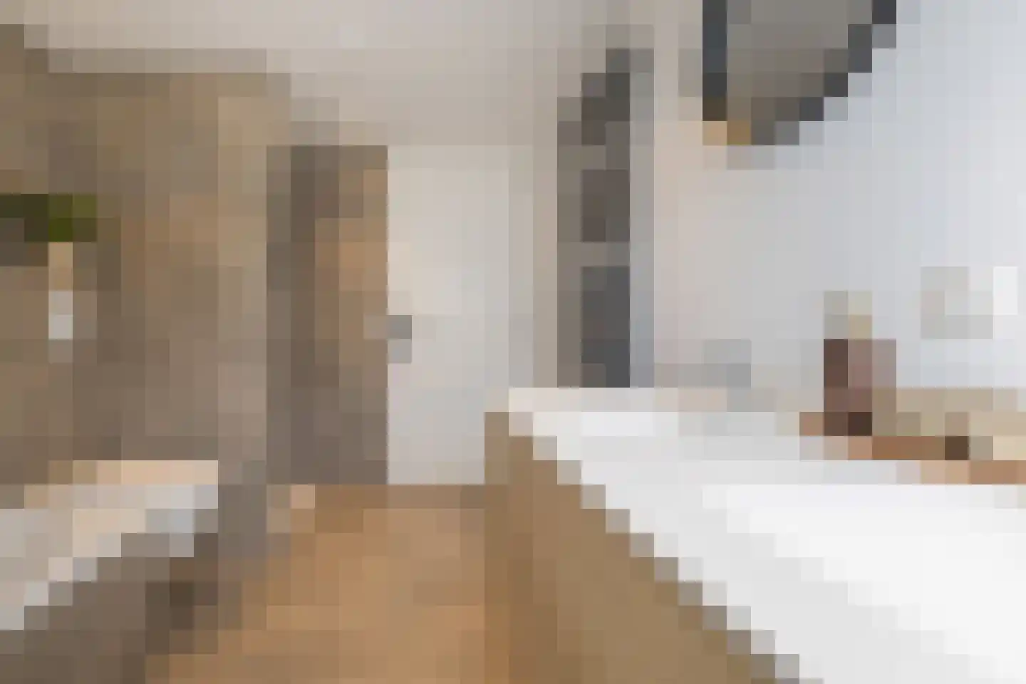 Haagweg 312 Breda thumbnail 34