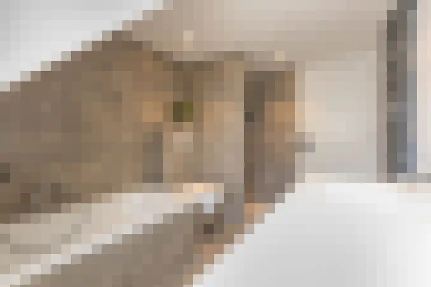Haagweg 312 Breda thumbnail 35