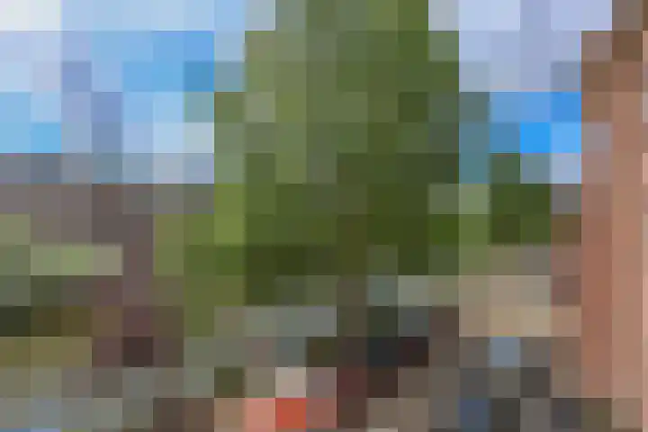 Haagweg 320 Breda thumbnail 17