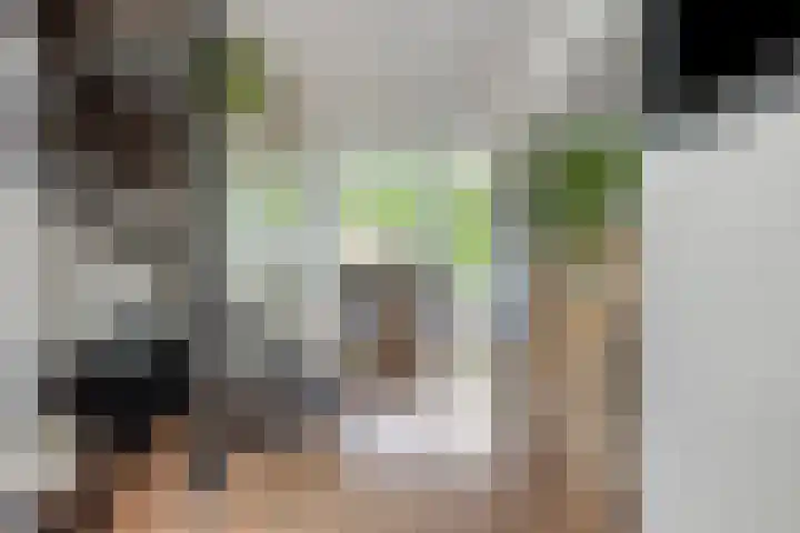Haagweg 320 Breda thumbnail 6