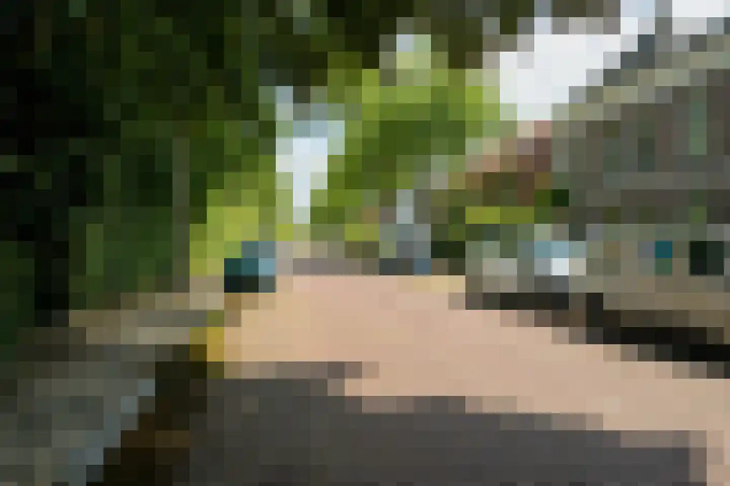 Haagweg 329 Breda thumbnail 30