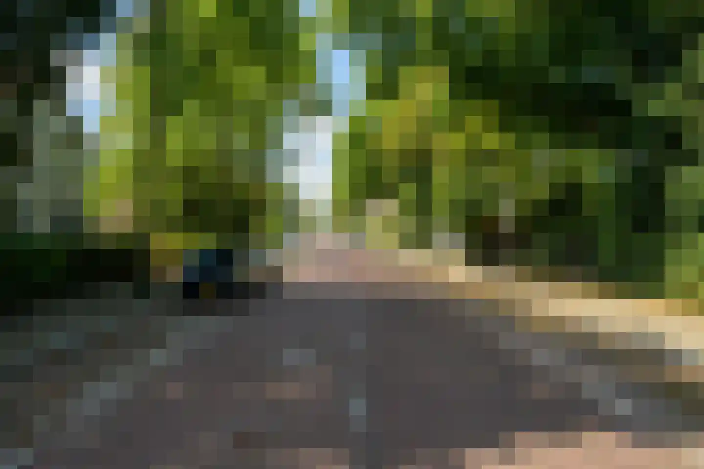 Haagweg 329 Breda thumbnail 31