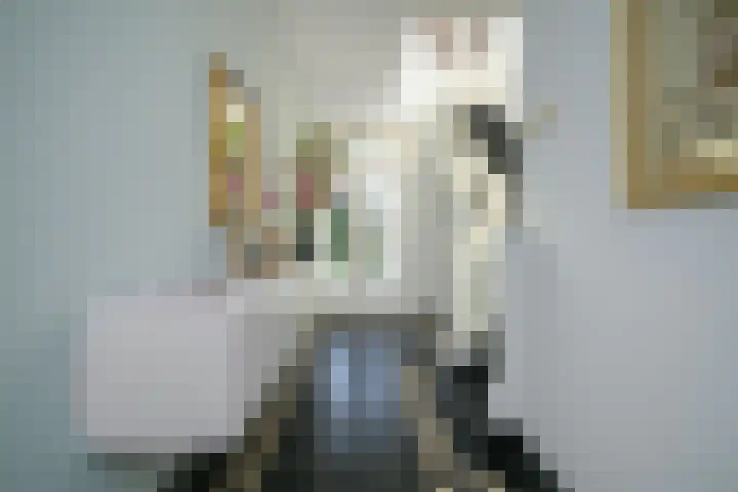 Haagweg 329 Breda thumbnail 42
