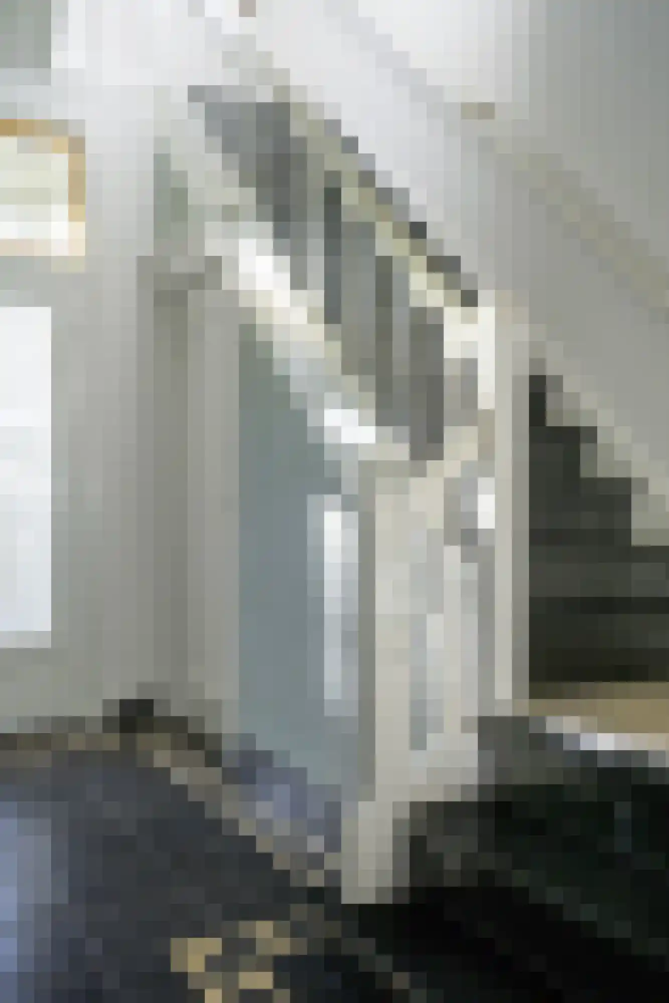 Haagweg 329 Breda thumbnail 47