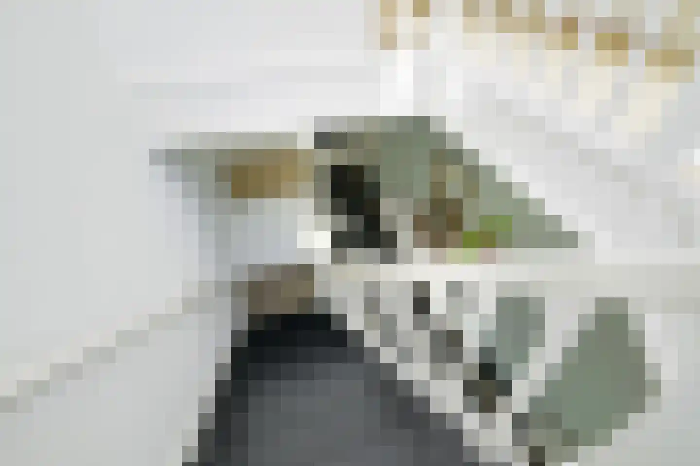 Haagweg 329 Breda thumbnail 61
