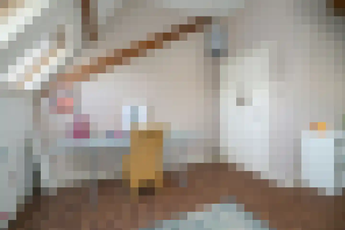 Haagweg 329 Breda thumbnail 85
