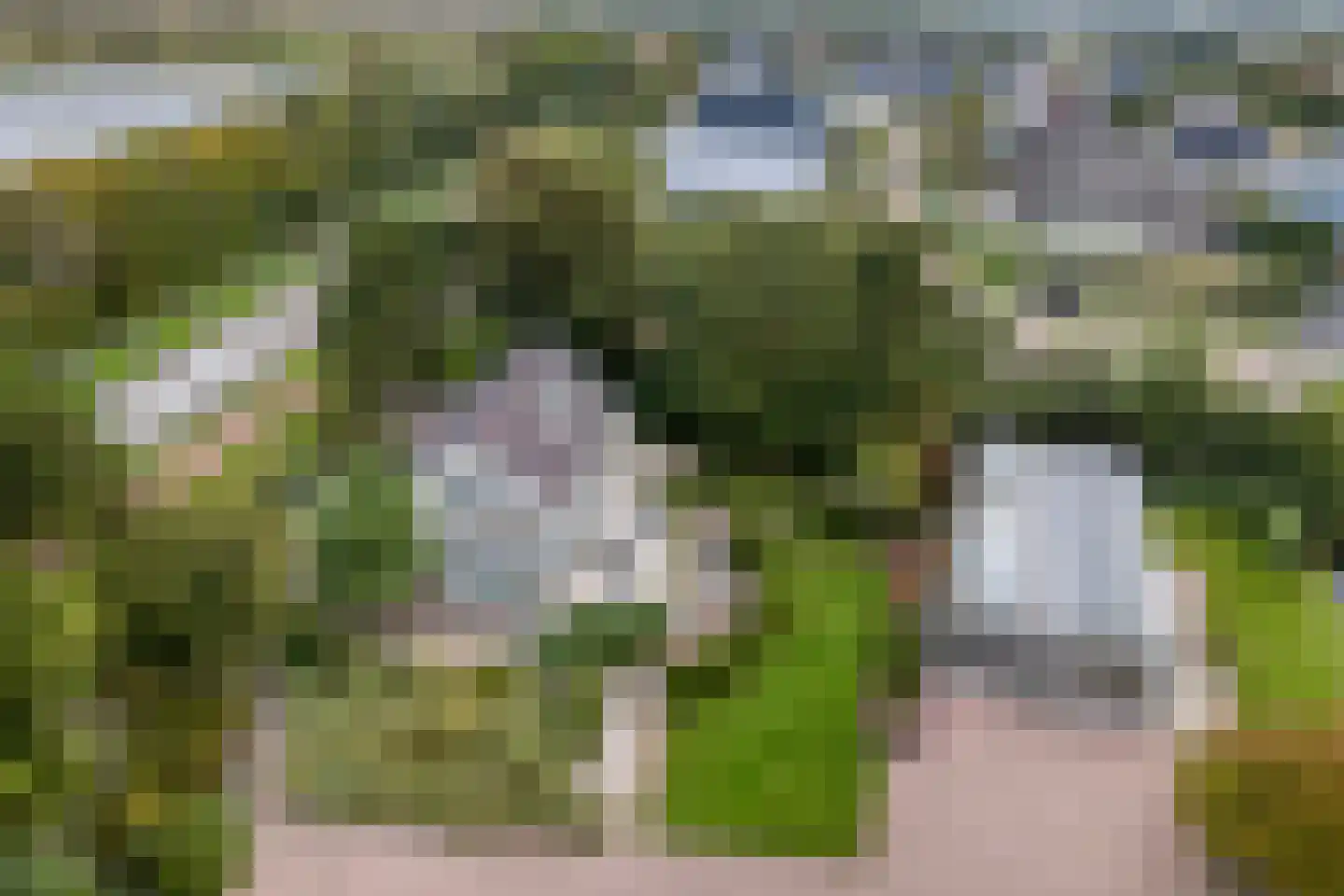 Haagweg 33 G Monster thumbnail 14