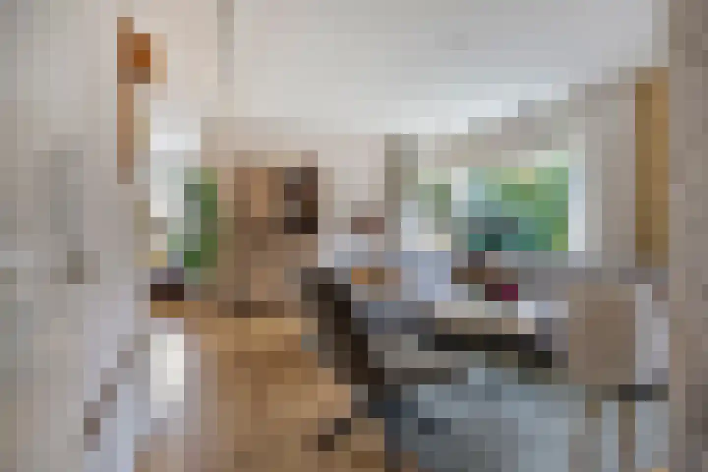 Haagweg 33 G Monster thumbnail 19