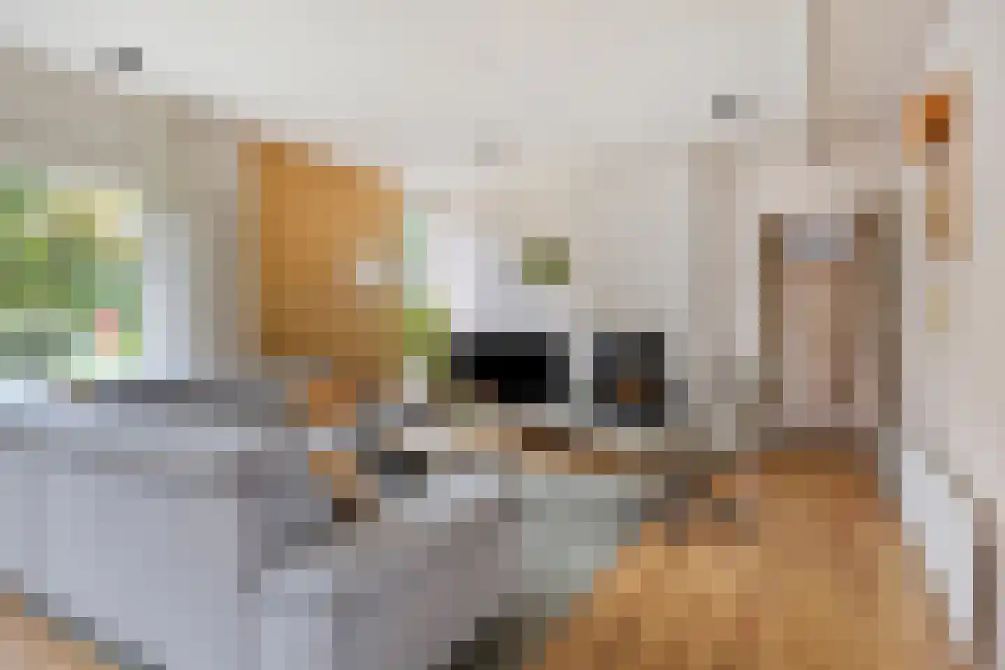 Haagweg 33 G Monster thumbnail 4