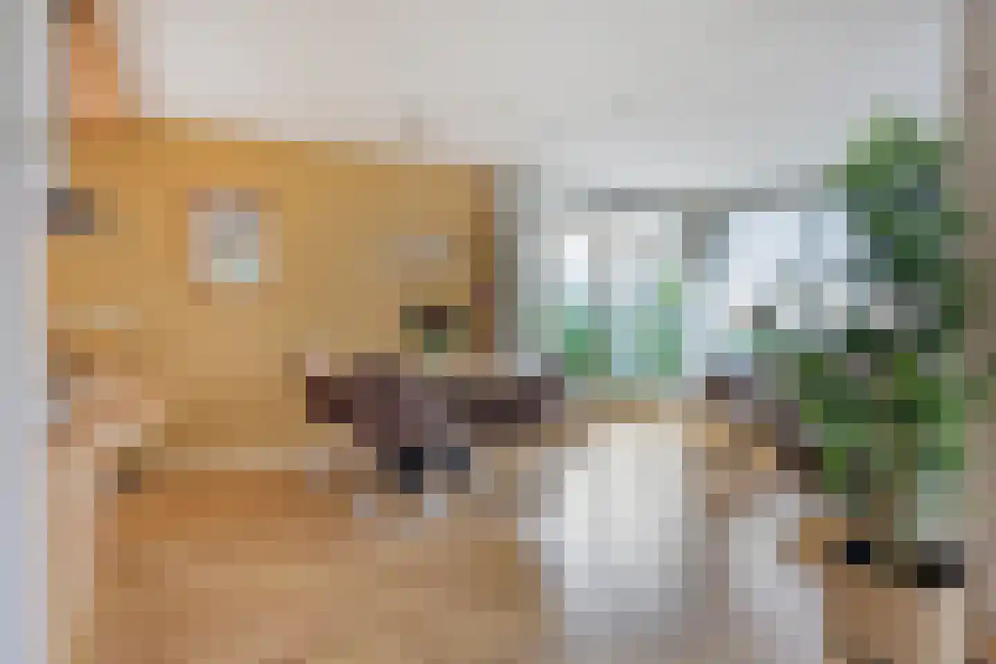 Haagweg 33 G Monster thumbnail 7