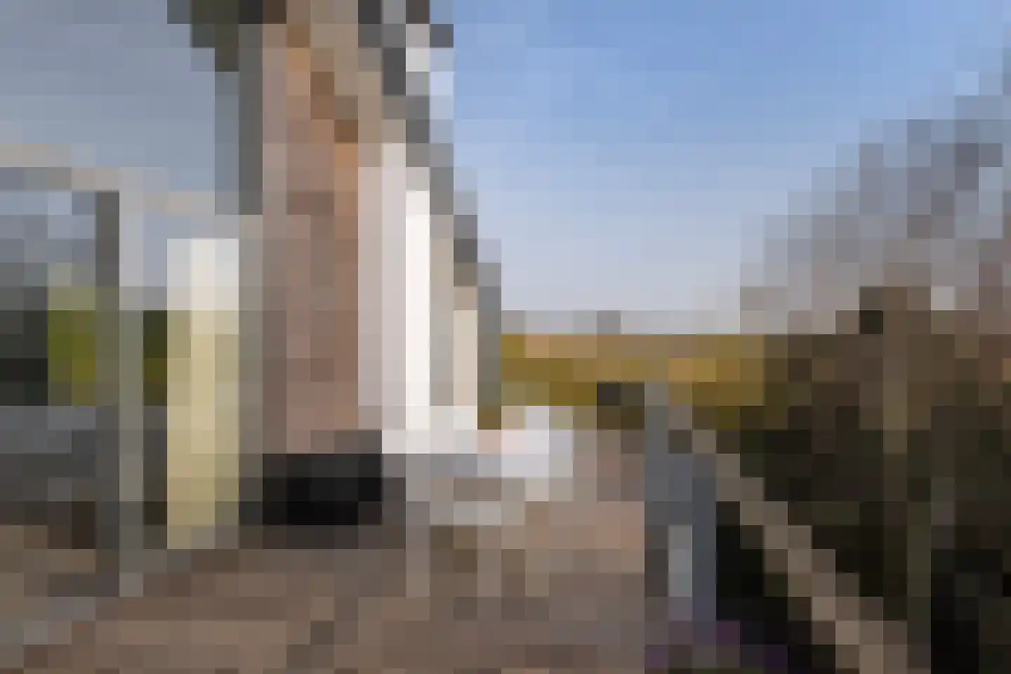 Haagweg 33 K Monster thumbnail 11