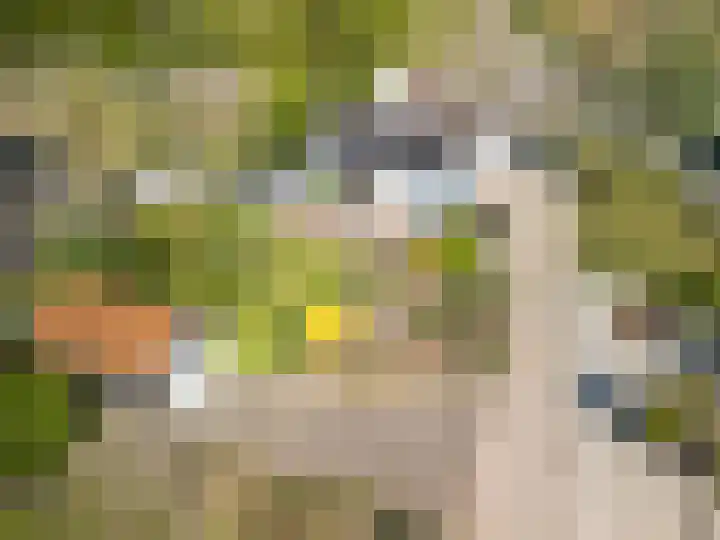 Haagweg 37 Monster thumbnail 33