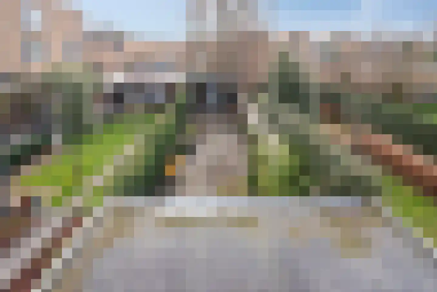 Haagweg 407 Breda thumbnail 39