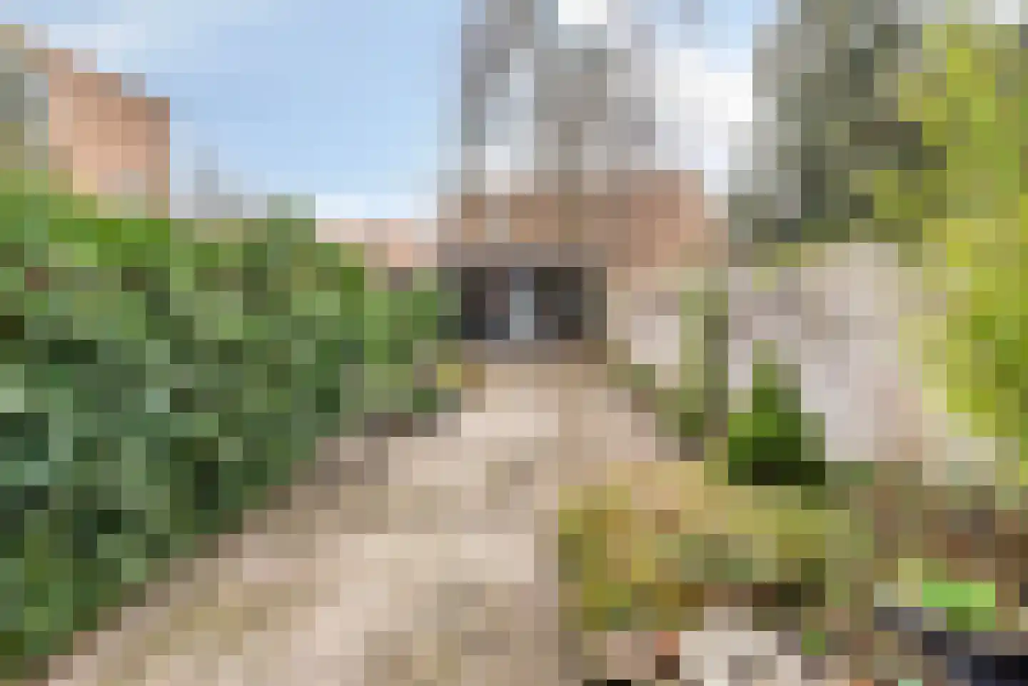 Haagweg 407 Breda thumbnail 47