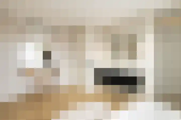 Haagweg 409 Breda thumbnail 32