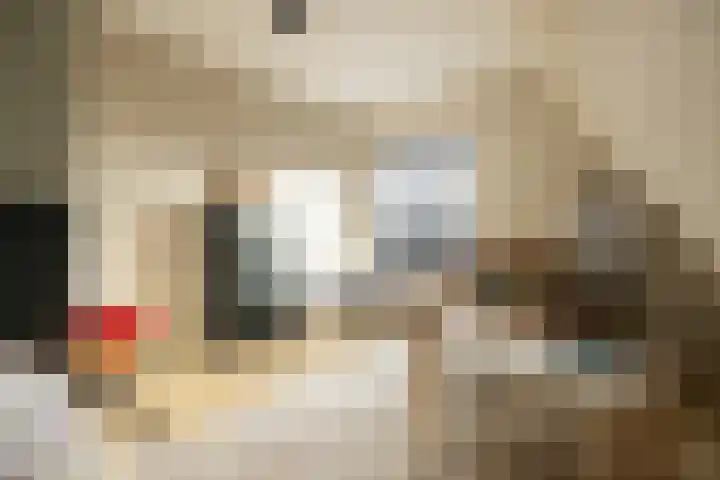 Haagweg 409 Breda thumbnail 41