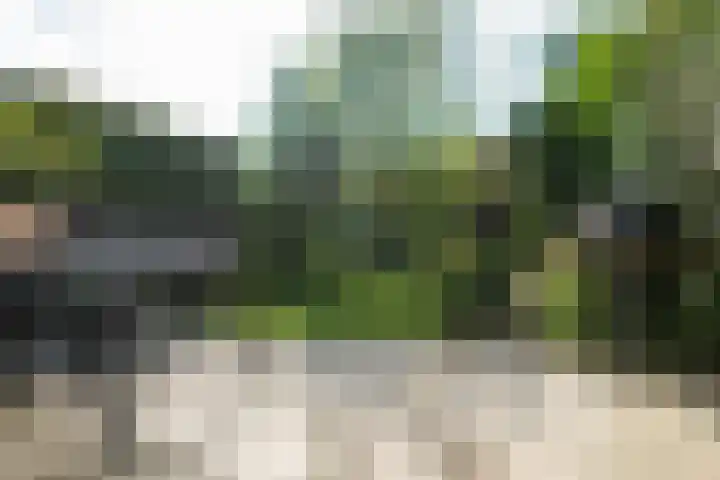 Haagweg 409 Breda thumbnail 49