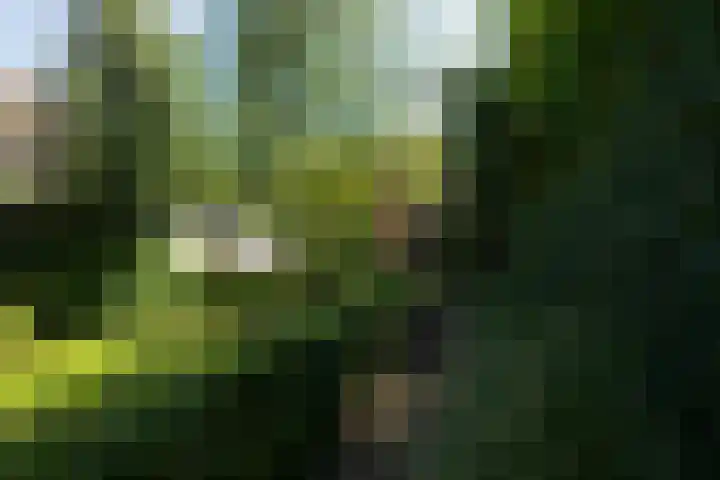 Haagweg 409 Breda thumbnail 50