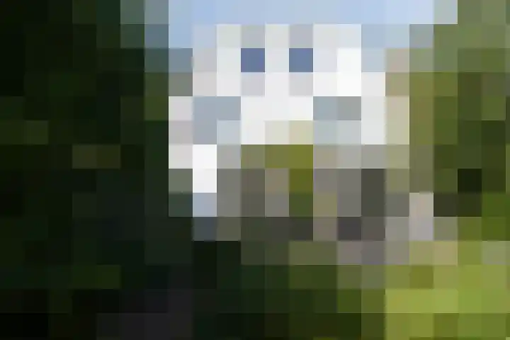 Haagweg 409 Breda thumbnail 51