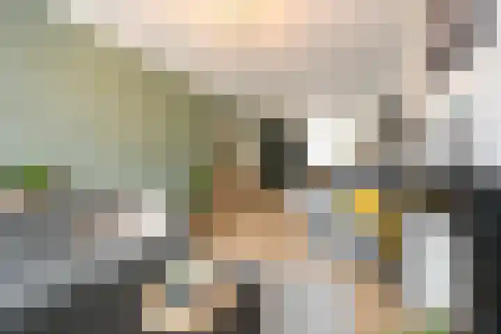 Haagweg 48 Rijswijk thumbnail 10