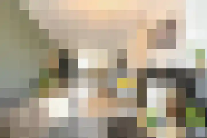 Haagweg 48 Rijswijk thumbnail 11