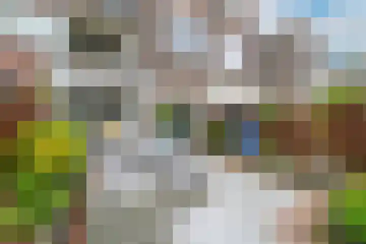 Haagweg 48 Rijswijk thumbnail 19
