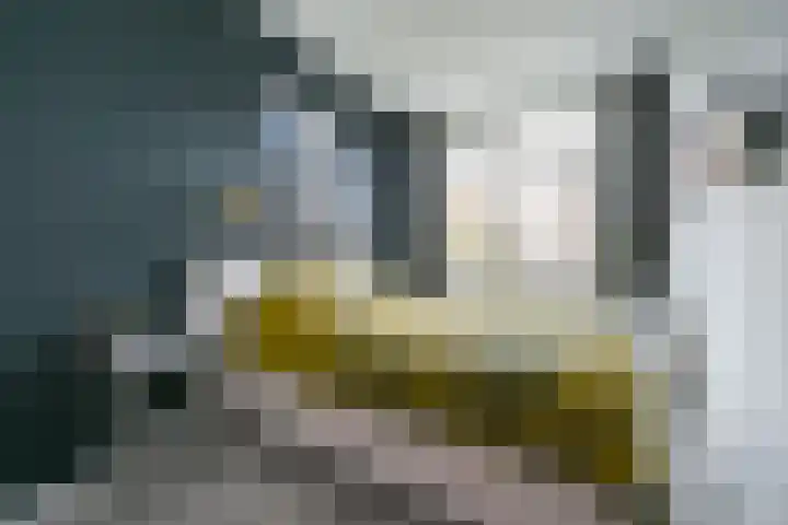 Haagweg 48 Rijswijk thumbnail 28