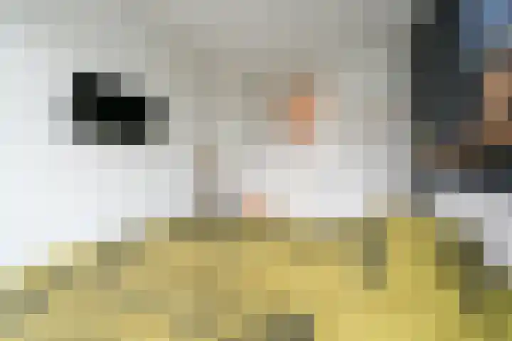 Haagweg 48 Rijswijk thumbnail 29