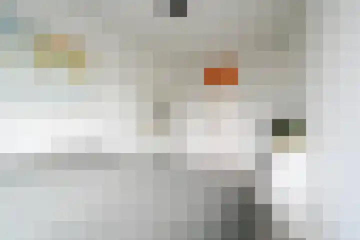 Haagweg 48 Rijswijk thumbnail 33