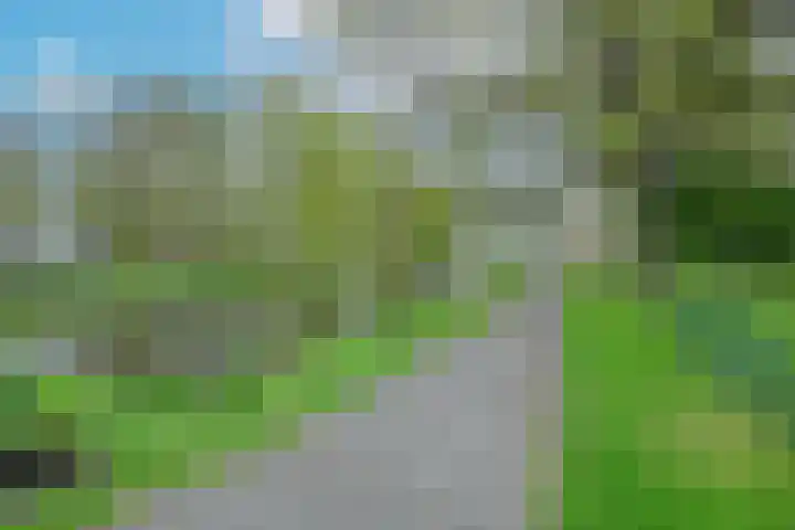 Haagweg 48 Rijswijk thumbnail 4
