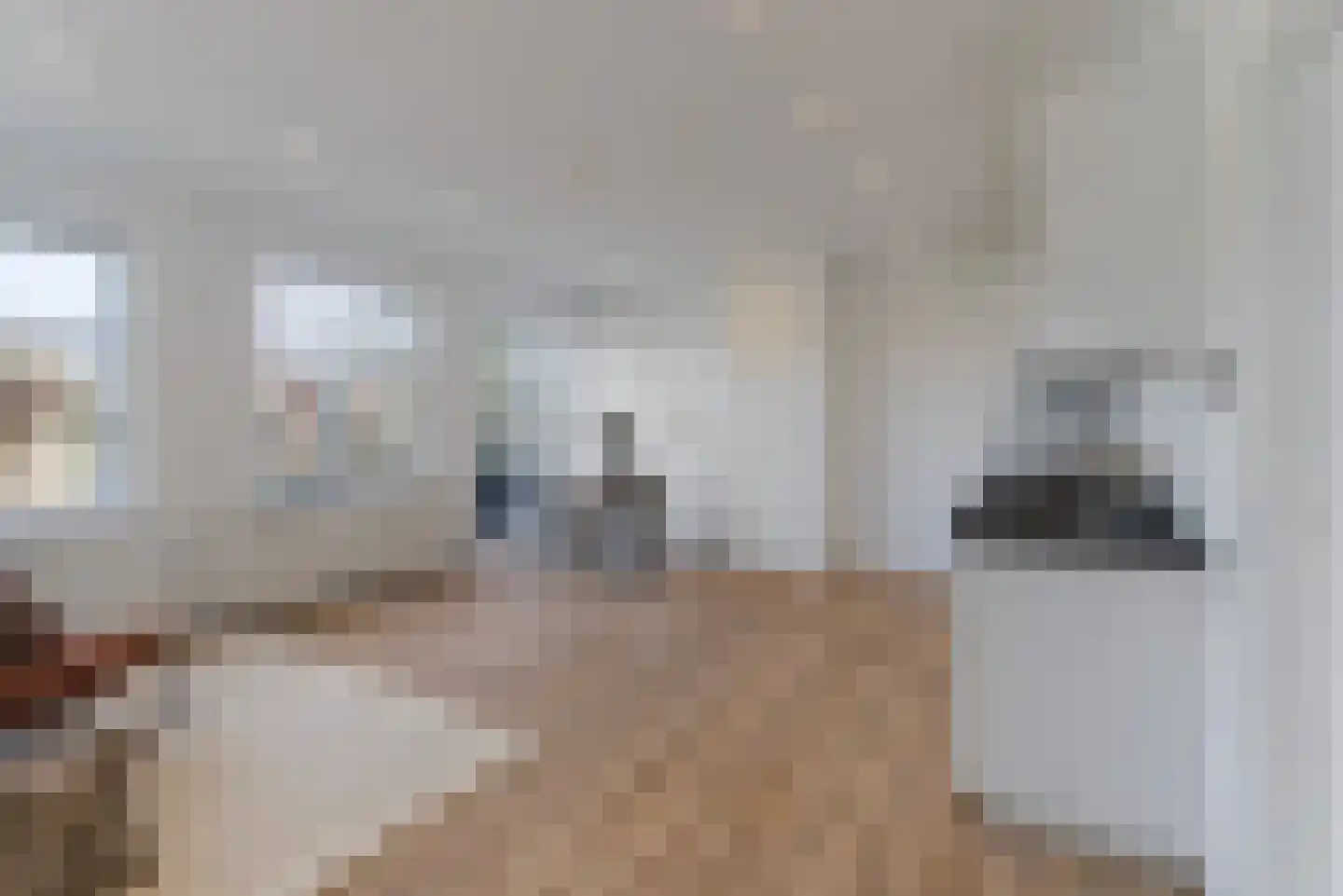 Haagweg 5 Rijswijk thumbnail 5