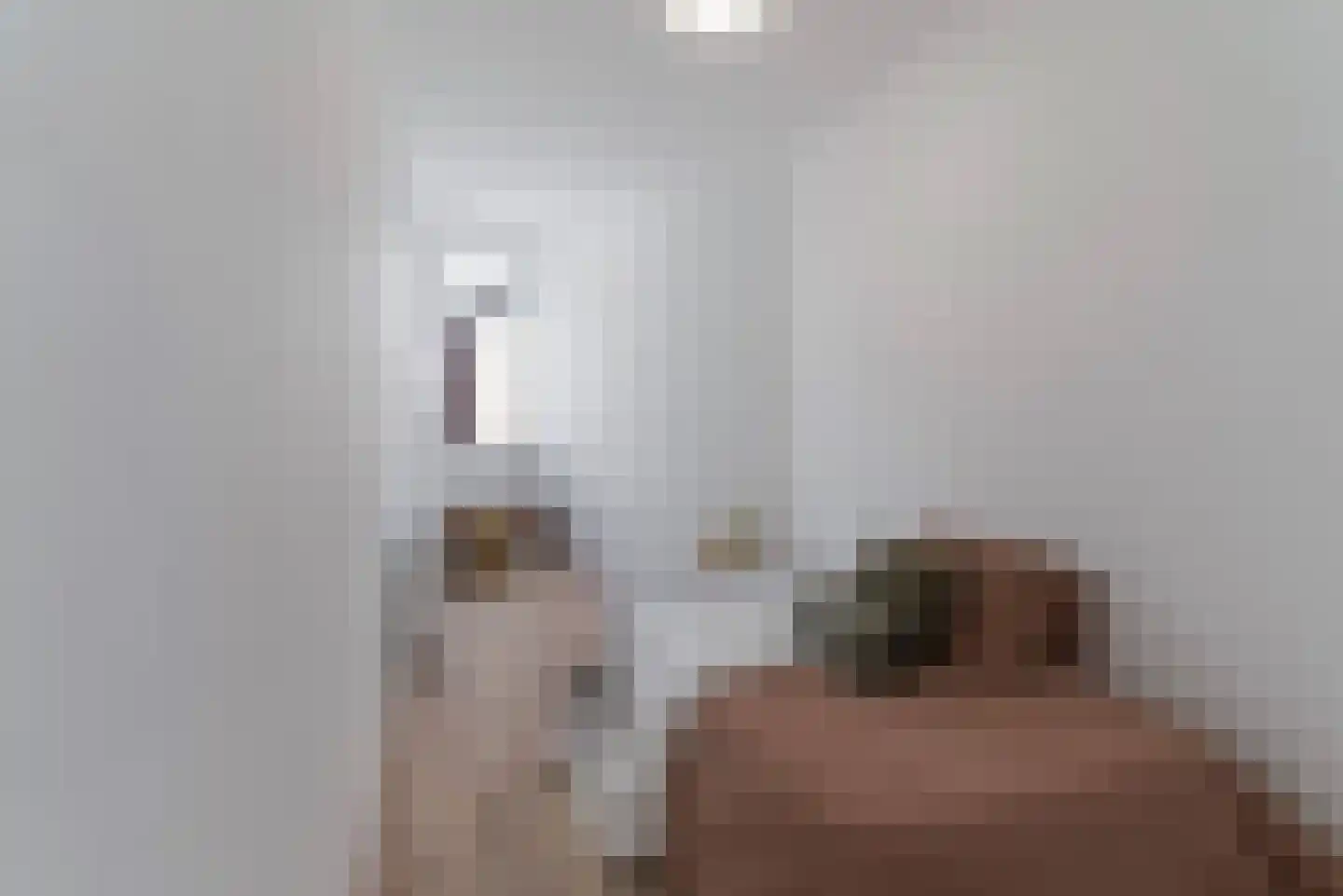 Haagweg 5 Rijswijk thumbnail 7