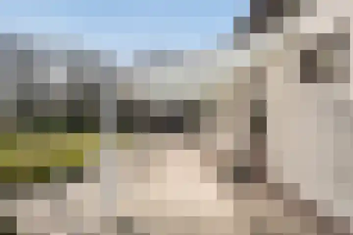 Haagweg 59 Monster thumbnail 16