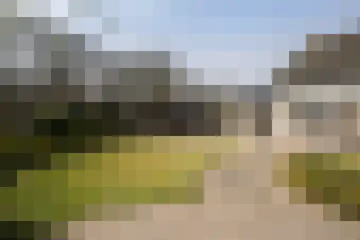 Haagweg 59 Monster thumbnail 19