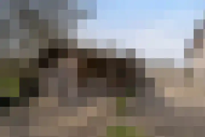 Haagweg 59 Monster thumbnail 22