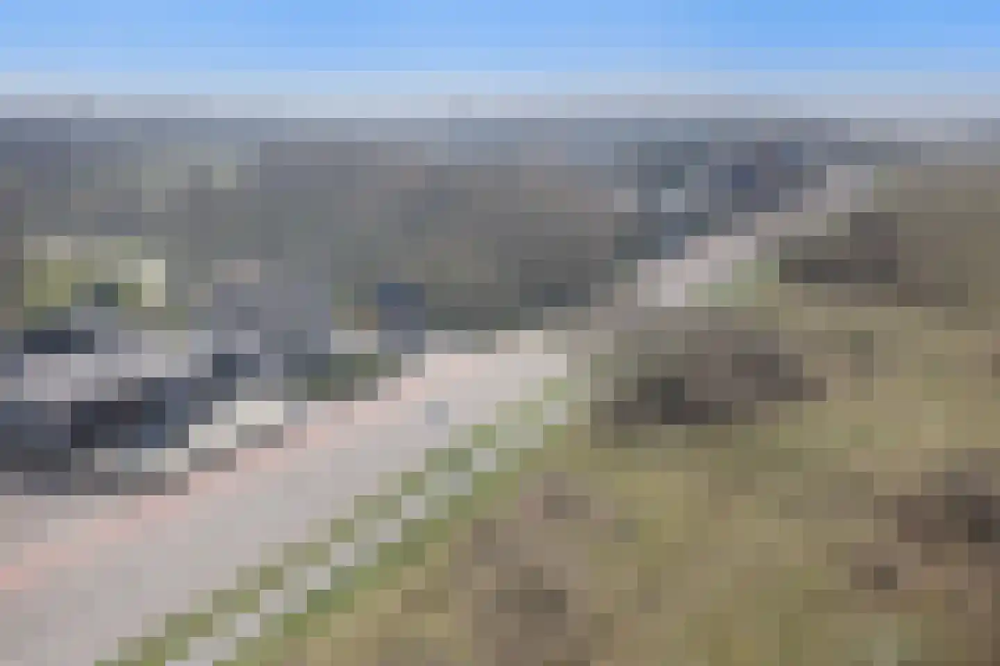 Haagweg 59 Monster thumbnail 47
