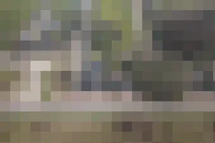 Haagweg 59 Monster thumbnail 48