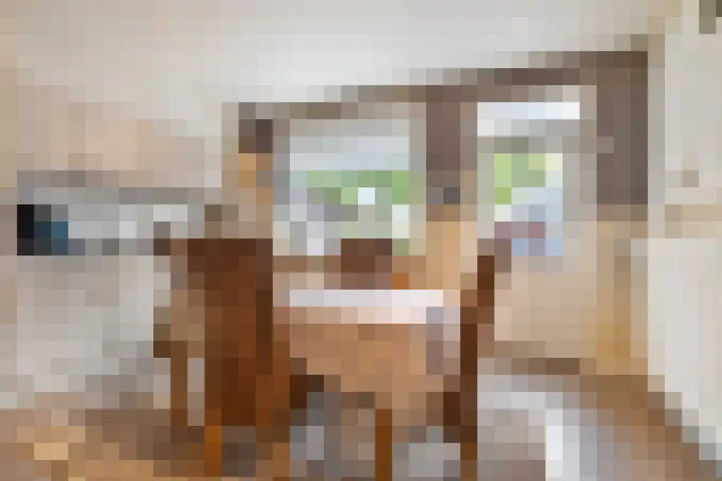 Haagweg 63 Breda thumbnail 11