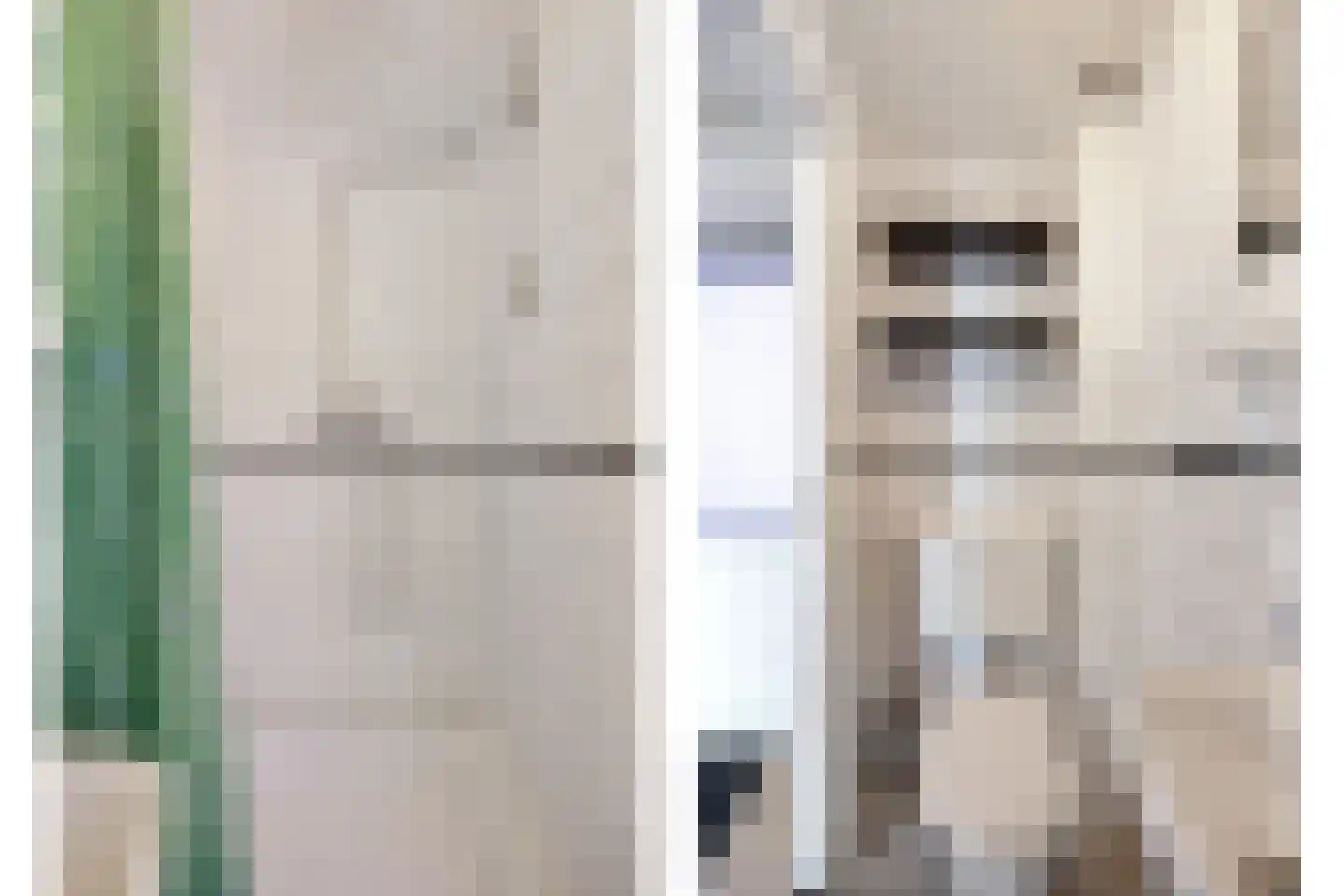 Haagweg 65 D Breda thumbnail 5