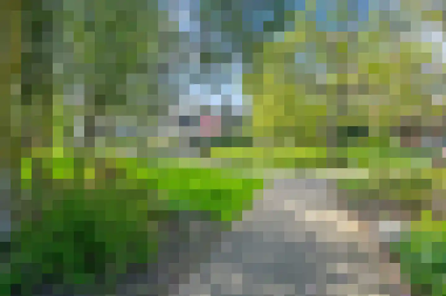 Haagweg 69 a Rijswijk thumbnail 30