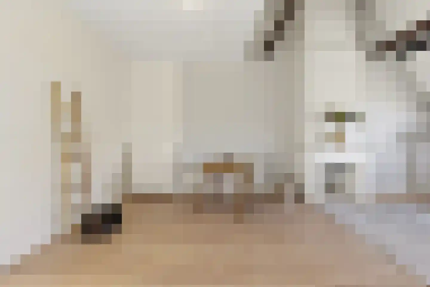 Haagweg 69 a Rijswijk thumbnail 9