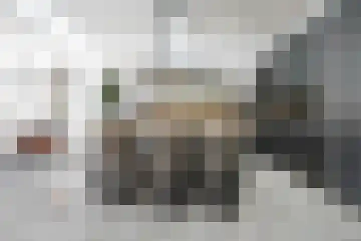 Haagweg 69 Leiden thumbnail 15