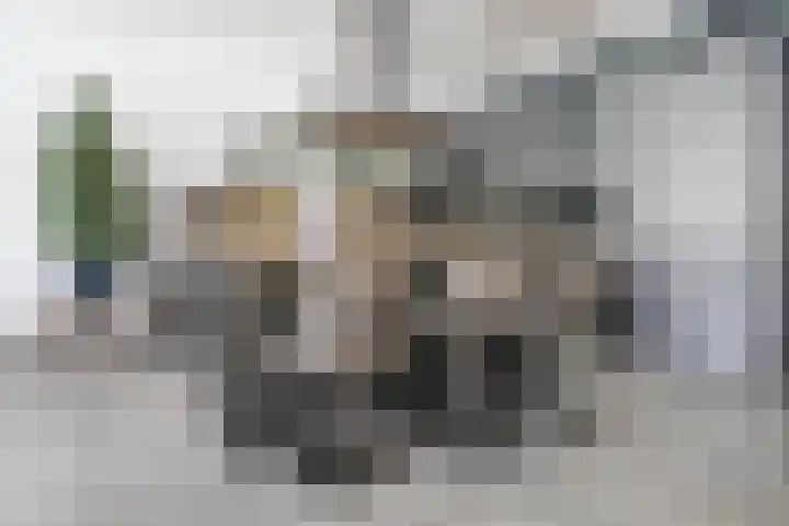 Haagweg 69 Leiden thumbnail 16