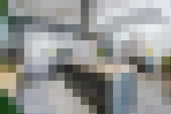 Haagweg 69 Leiden thumbnail 17